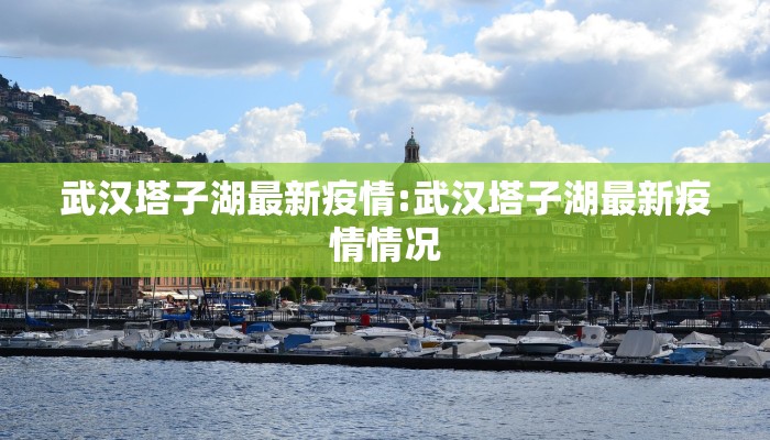 武汉塔子湖最新疫情:武汉塔子湖最新疫情情况