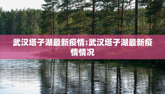 武汉塔子湖最新疫情:武汉塔子湖最新疫情情况