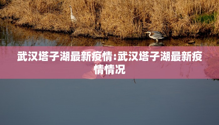 武汉塔子湖最新疫情:武汉塔子湖最新疫情情况
