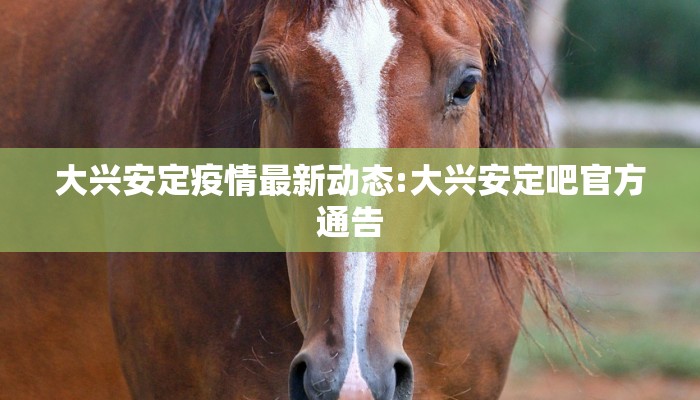 大兴安定疫情最新动态:大兴安定吧官方通告