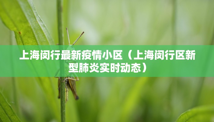 上海闵行最新疫情小区（上海闵行区新型肺炎实时动态）