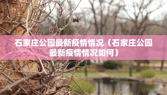 石家庄公园最新疫情情况（石家庄公园最新疫情情况如何）