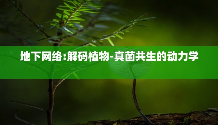 随州最新疫情源头是哪里/随州最新疫情防控通告