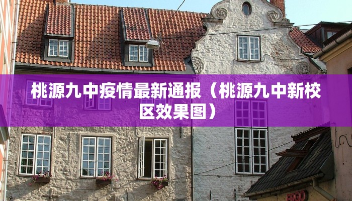 桃源九中疫情最新通报（桃源九中新校区效果图）