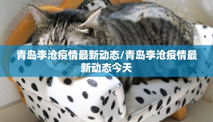 保定隔离点最新通知疫情/保定隔离政策咨询
