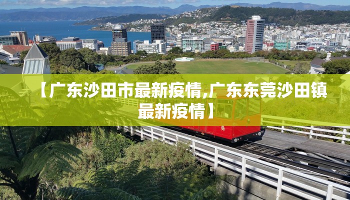 【广东沙田市最新疫情,广东东莞沙田镇最新疫情】