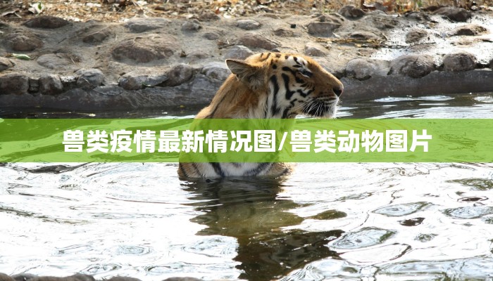 【营口营口疫情最新情况,营口疫情官方网站公布情况】