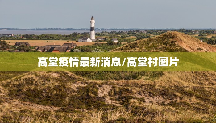 高堂疫情最新消息/高堂村图片