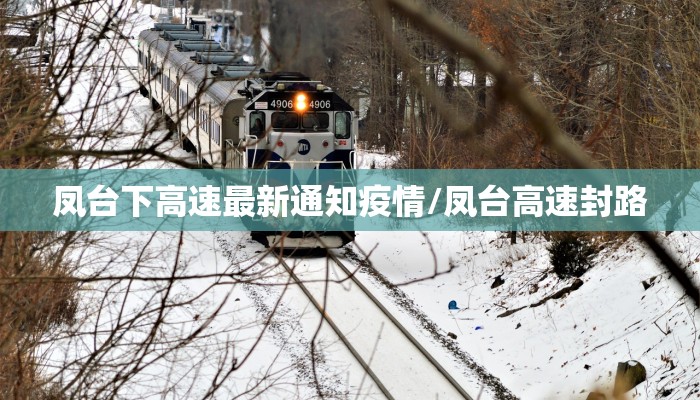 凤台下高速最新通知疫情/凤台高速封路