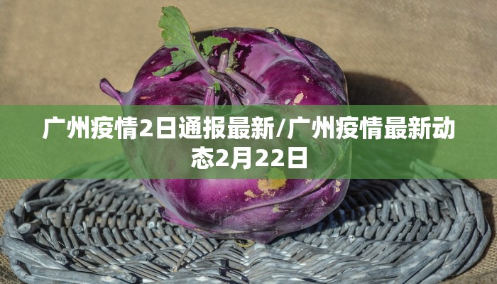 杜堂疫情最新情况（杜堂村在哪）