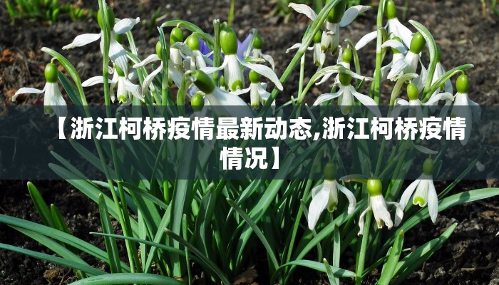 【浙江柯桥疫情最新动态,浙江柯桥疫情情况】