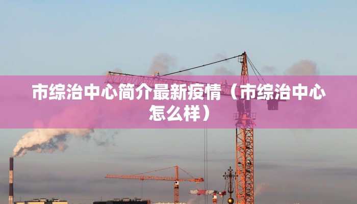 市综治中心简介最新疫情（市综治中心怎么样）