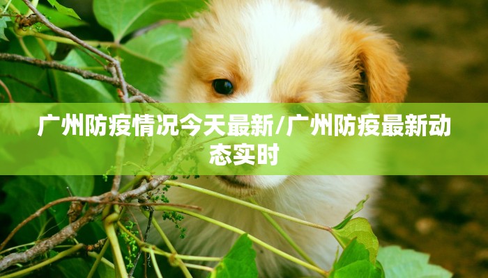 永和疫情最新情况播报/永和县最新新闻