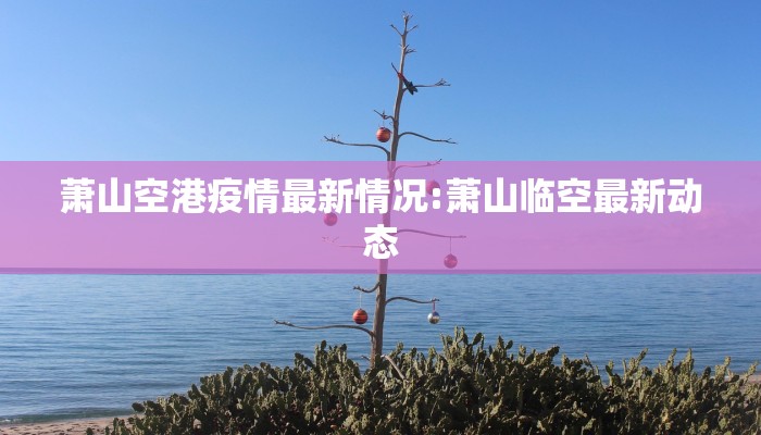 萧山空港疫情最新情况:萧山临空最新动态