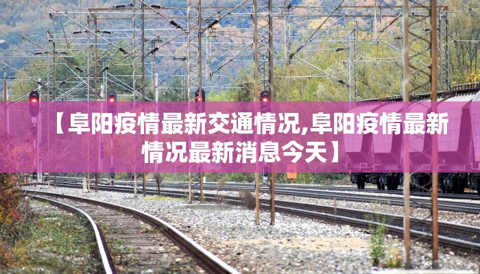 【阜阳疫情最新交通情况,阜阳疫情最新情况最新消息今天】