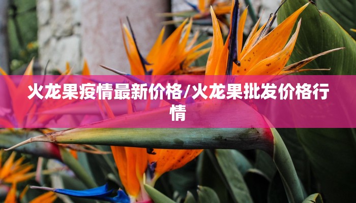 最新本土感染疫情人数/最新本土新增