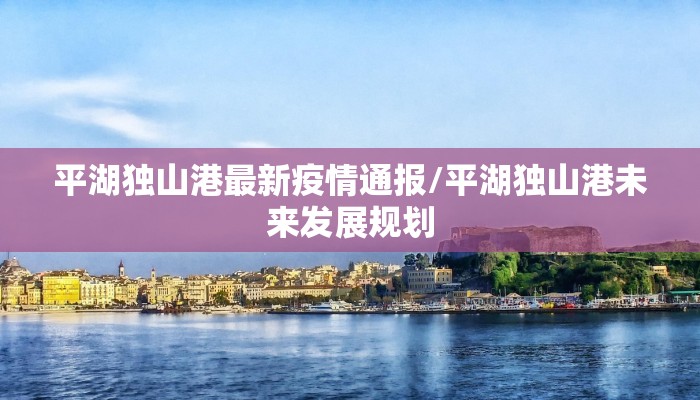 平湖独山港最新疫情通报/平湖独山港未来发展规划