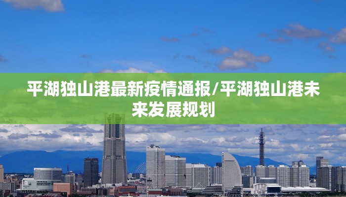 平湖独山港最新疫情通报/平湖独山港未来发展规划
