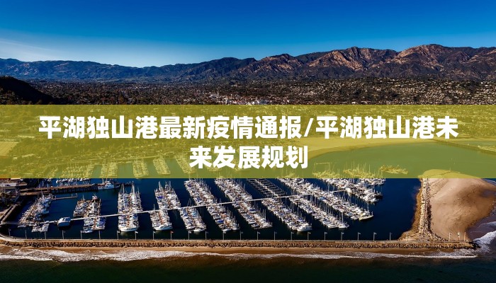 平湖独山港最新疫情通报/平湖独山港未来发展规划
