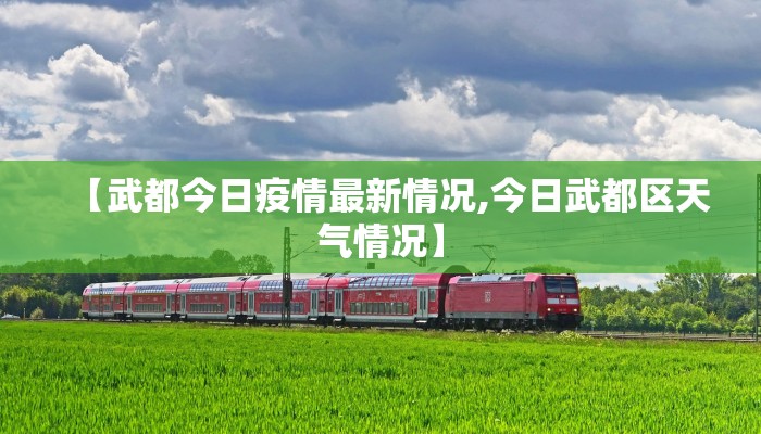 【武都今日疫情最新情况,今日武都区天气情况】