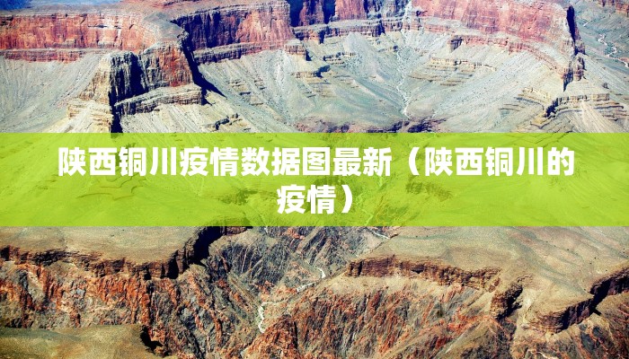 陕西铜川疫情数据图最新（陕西铜川的疫情）