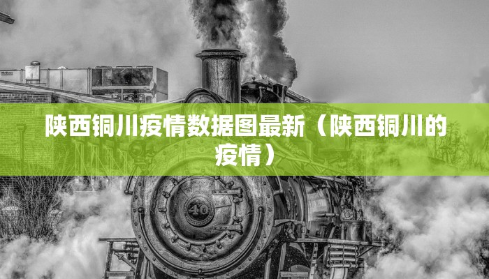 陕西铜川疫情数据图最新（陕西铜川的疫情）