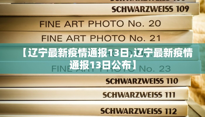 【辽宁最新疫情通报13日,辽宁最新疫情通报13日公布】