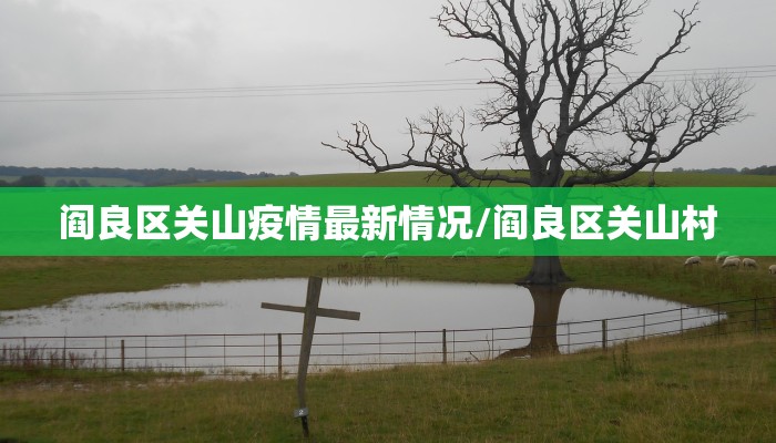 阎良区关山疫情最新情况/阎良区关山村