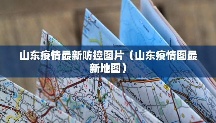 山东疫情最新防控图片（山东疫情图最新地图）