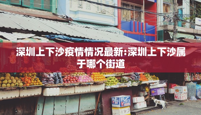 深圳上下沙疫情情况最新:深圳上下沙属于哪个街道