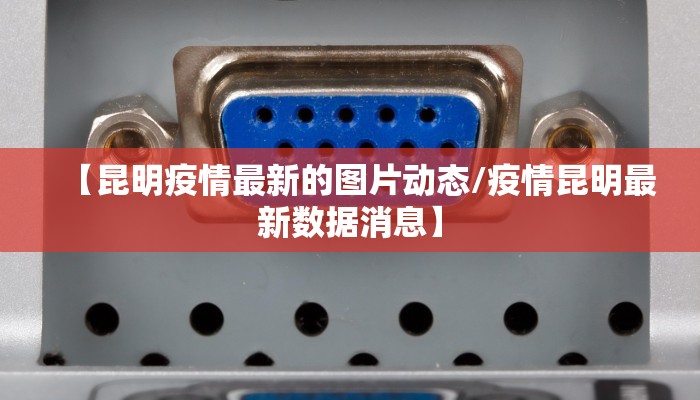 【昆明疫情最新的图片动态/疫情昆明最新数据消息】
