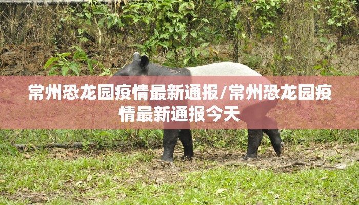 【南京巢湖疫情最新情况,南京巢湖疫情最新情况通报】