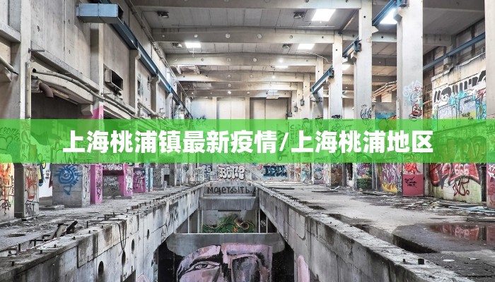 上海桃浦镇最新疫情/上海桃浦地区