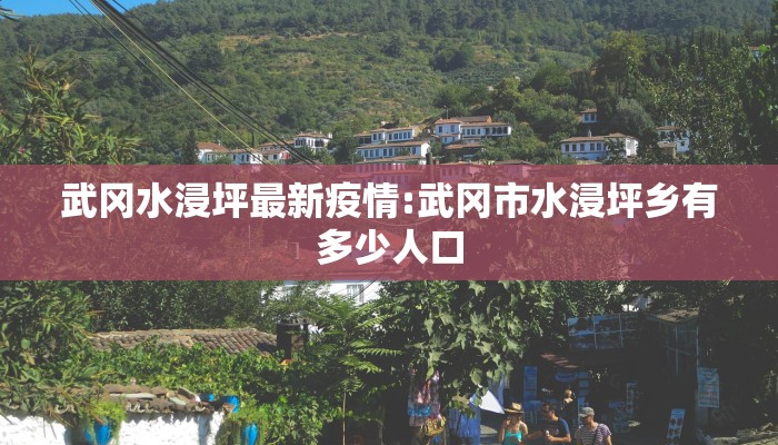 武冈水浸坪最新疫情:武冈市水浸坪乡有多少人口