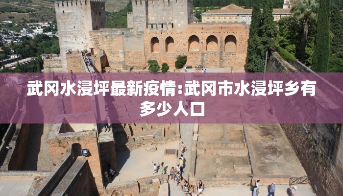 武冈水浸坪最新疫情:武冈市水浸坪乡有多少人口