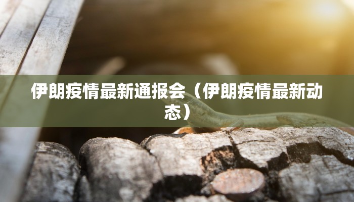 伊朗疫情最新通报会（伊朗疫情最新动态）