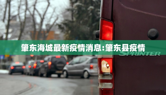 肇东海城最新疫情消息:肇东县疫情