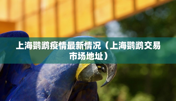 丰南今日疫情最新情况（丰南今日疫情最新情况数据）