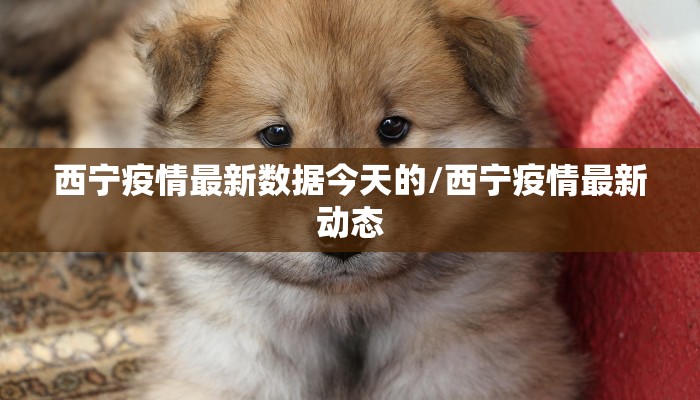 内江老隆昌疫情最新通告/内江隆昌新型冠状病毒