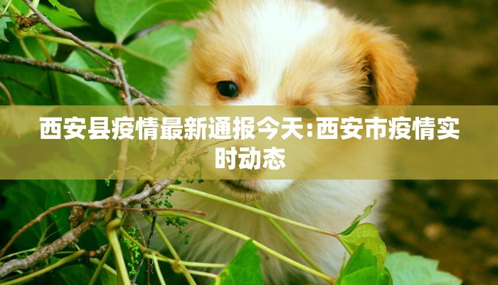 郑州最新疫情确诊数量图/郑州最新疫情确诊数量图表