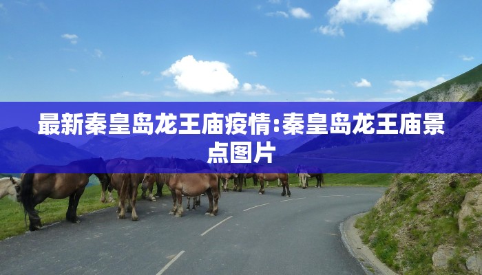 最新秦皇岛龙王庙疫情:秦皇岛龙王庙景点图片