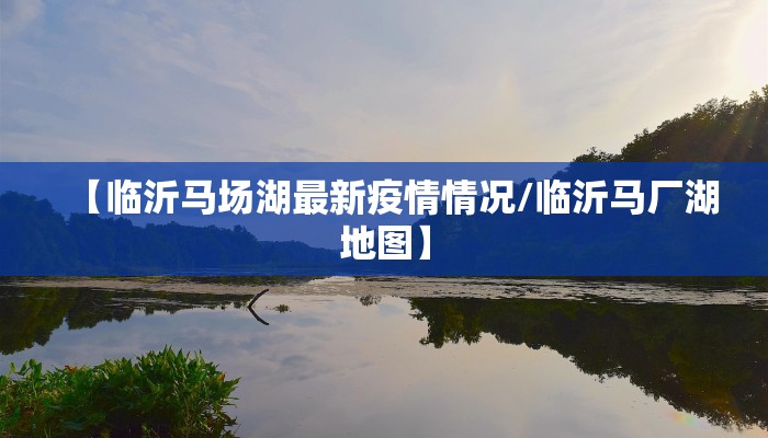 【临沂马场湖最新疫情情况/临沂马厂湖地图】