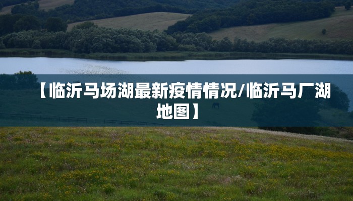 【临沂马场湖最新疫情情况/临沂马厂湖地图】