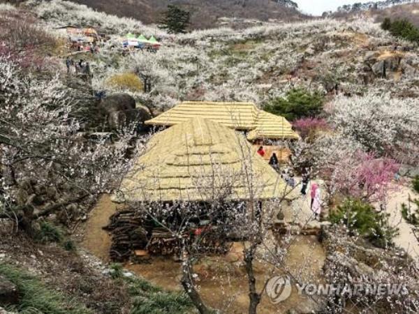 浙江秀洲最新疫情消息:浙江秀州